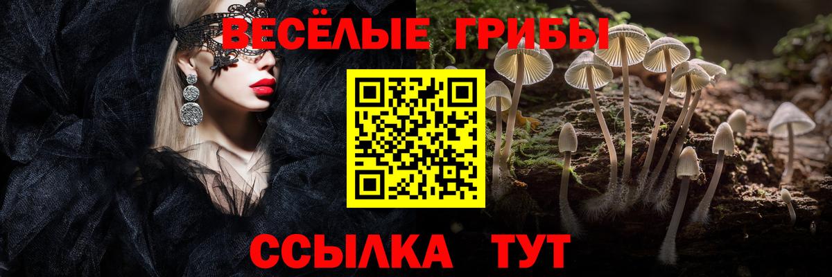Нерюнгри  Псилоцибиновые грибы мухоморы  Вход с VPN 